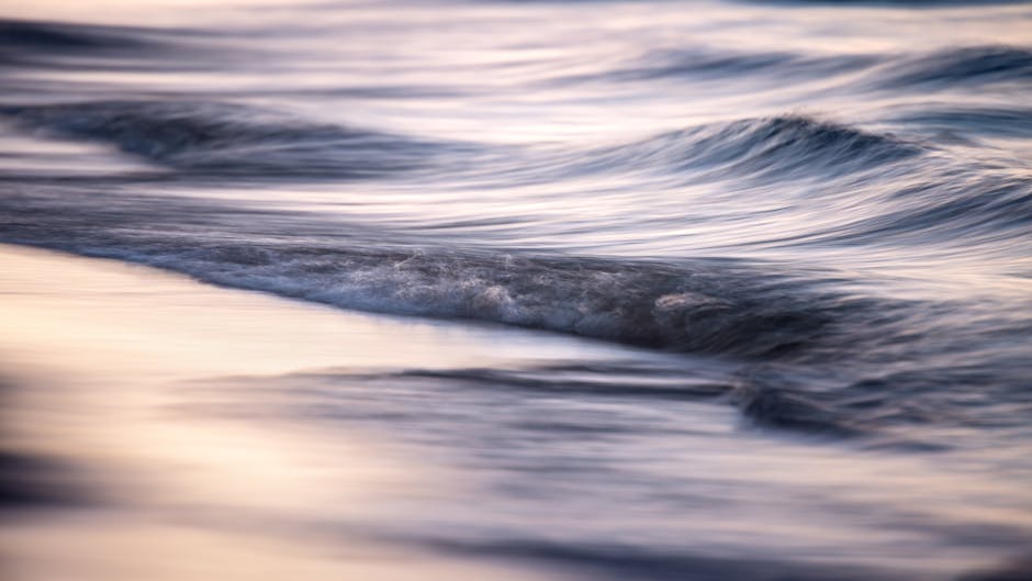 From Humble Beginnings To