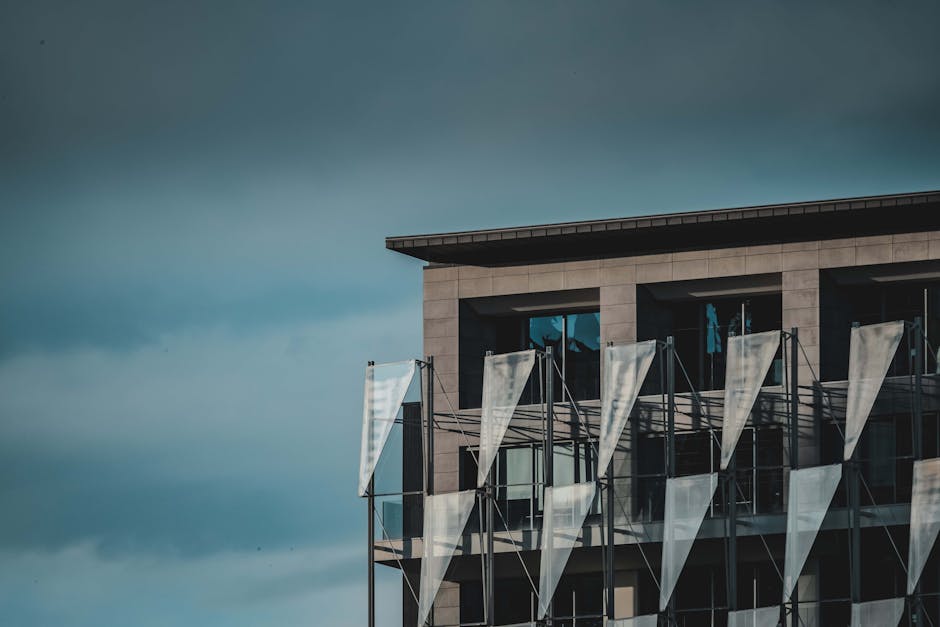 The Importance Of Rankings